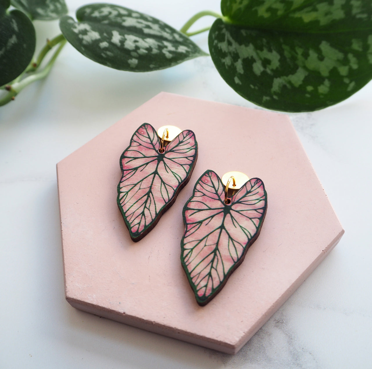 Statement Pink Caladium Drop Earrings