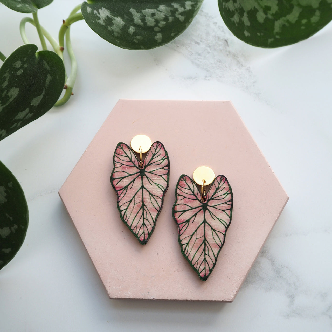 Statement Pink Caladium Drop Earrings