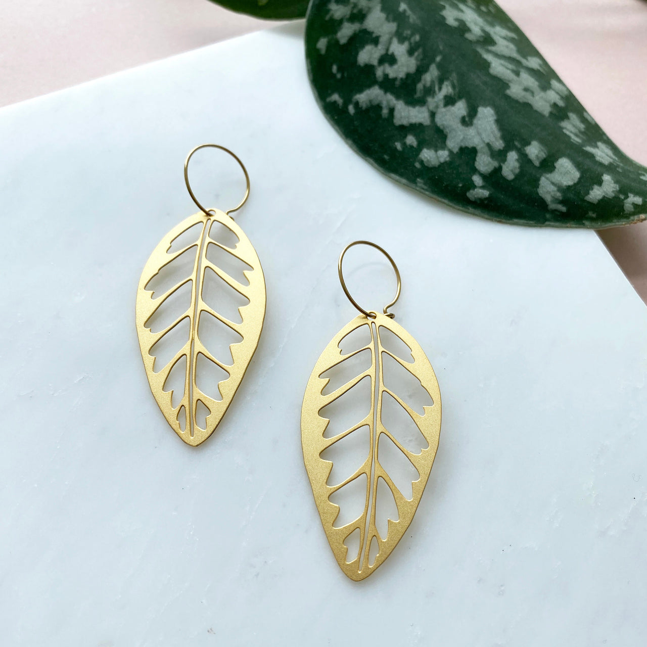 Tropical Gold Leaf Hoop Earrings - Calathea Zebrina