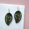 Calathea Makoyana Hoop Earrings - Green