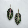 Maranta Leaf House Plant Hoop Earrings