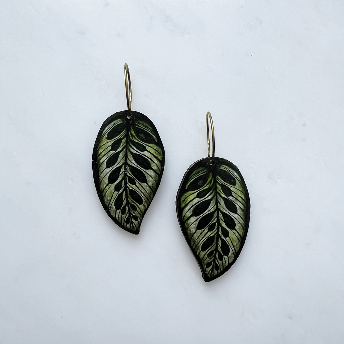 Calathea Makoyana Hoop Earrings - Green