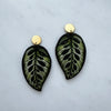 Calathea Makoyana Drop Earrings - House Plant Statement Studs