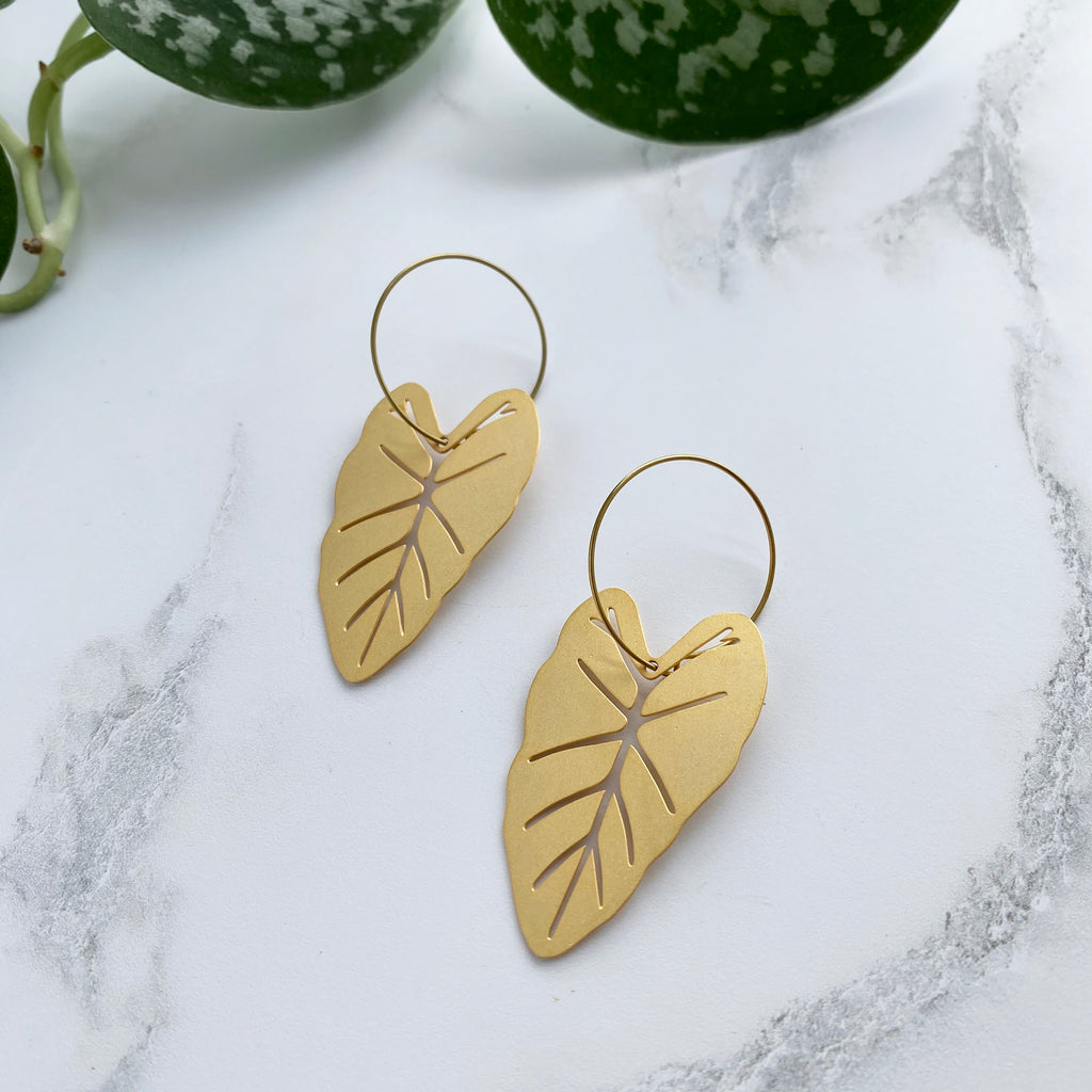 Gold Alocasia Hoop Earrings