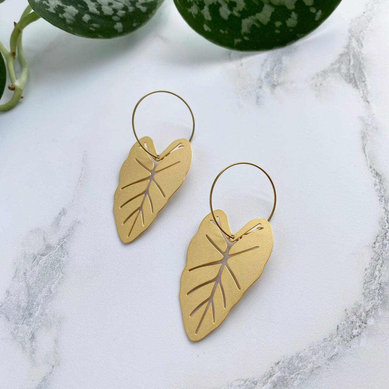 Gold Alocasia Hoop Earrings
