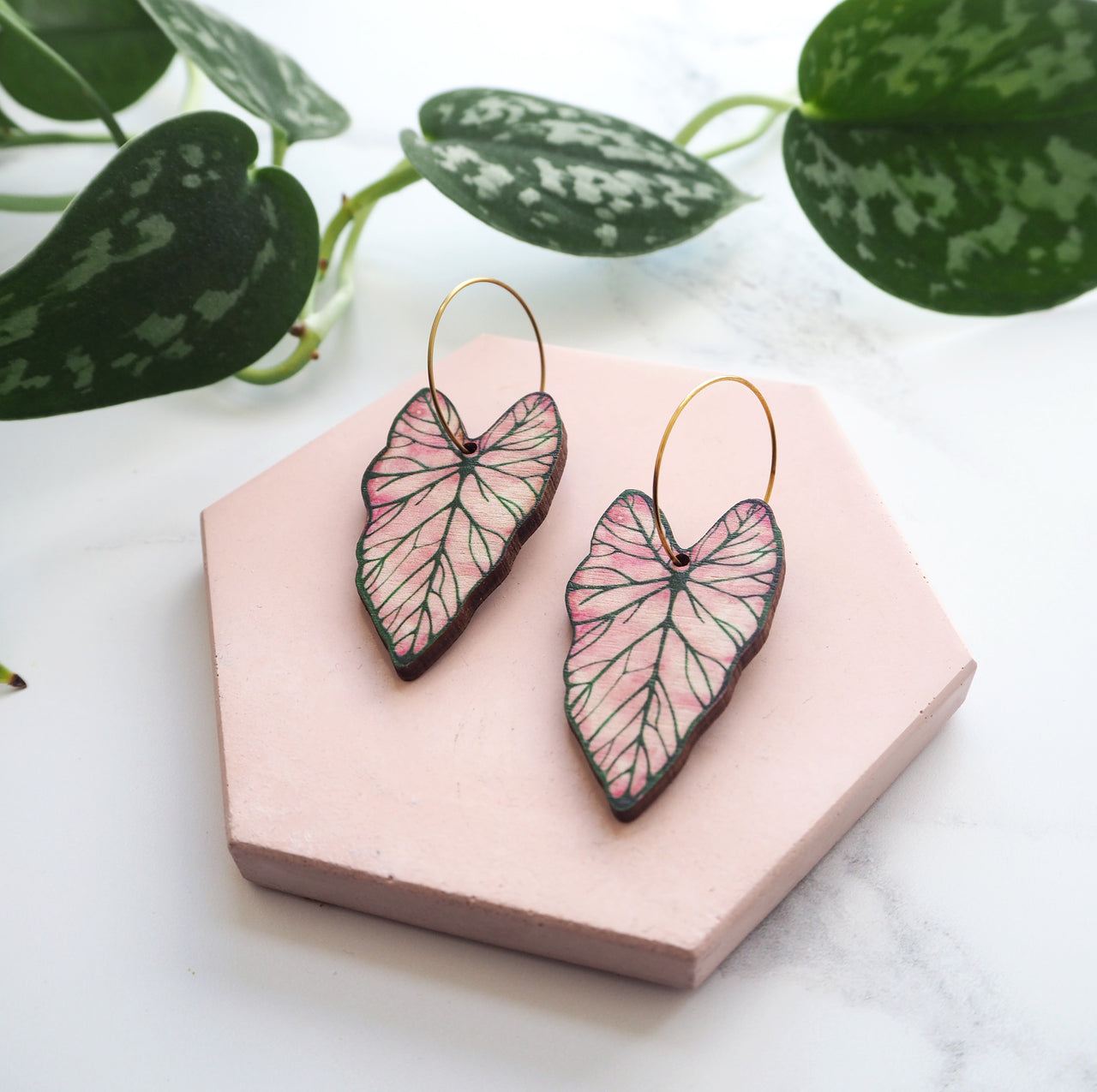 Pink Caladium Hoop Earrings