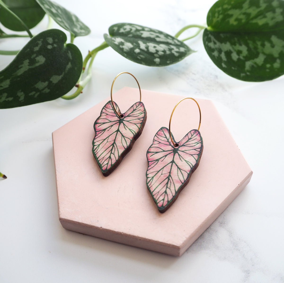 Pink Caladium Hoop Earrings
