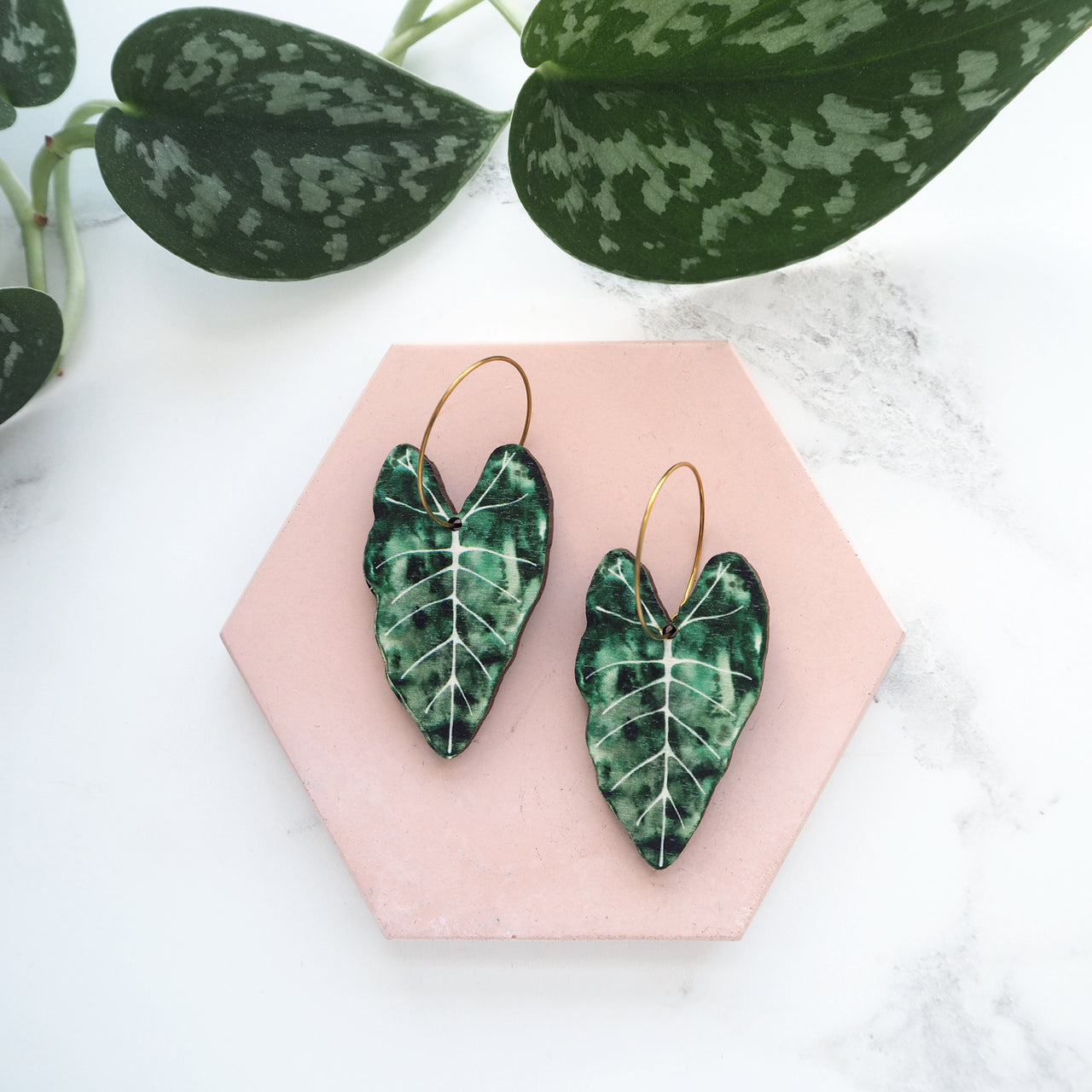 Alocasia Plant Hoop Earrings