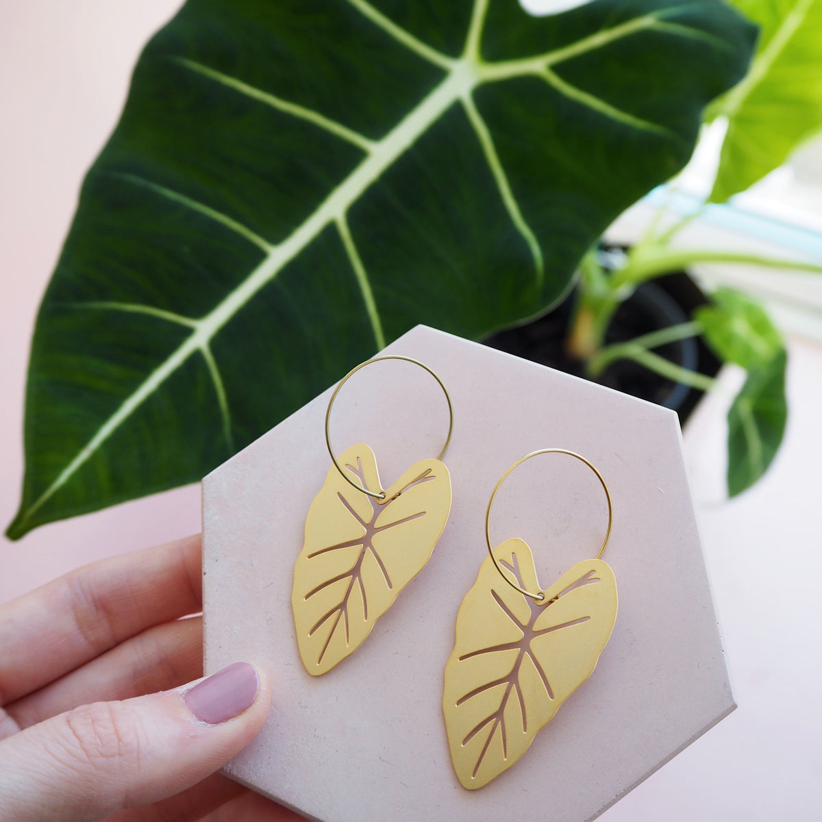 Gold Alocasia Hoop Earrings