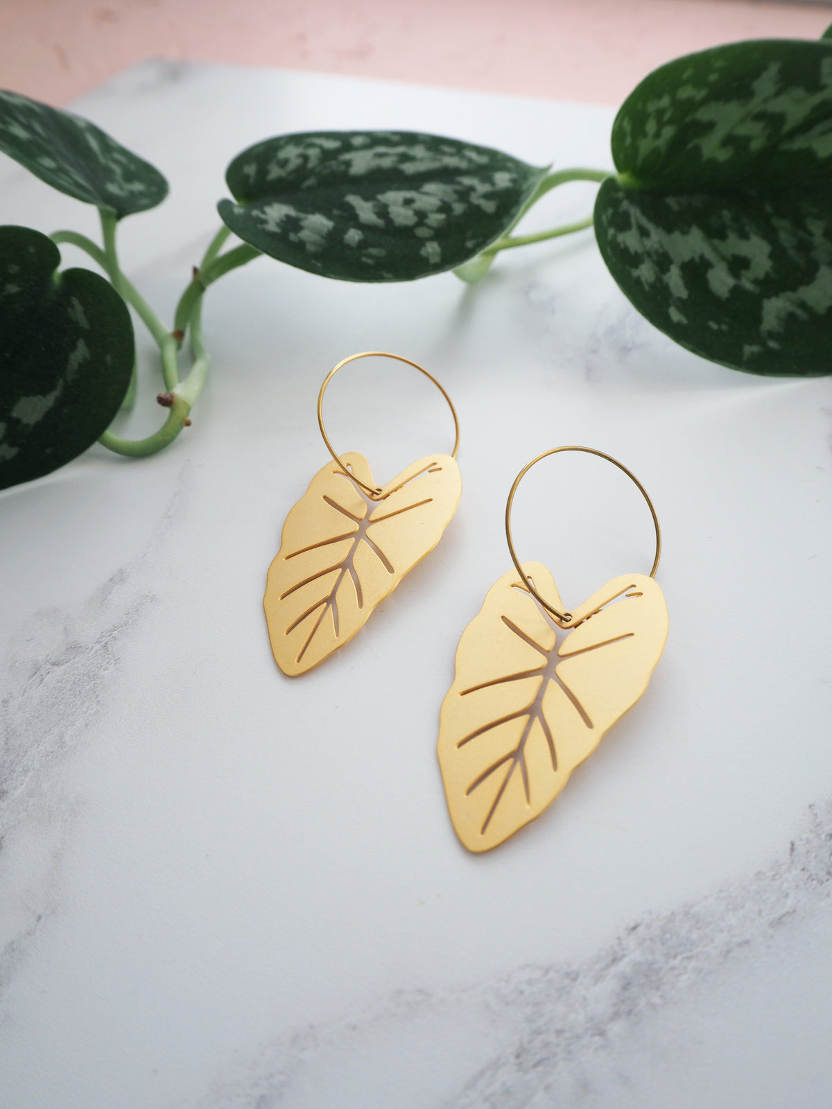 Gold Alocasia Hoop Earrings