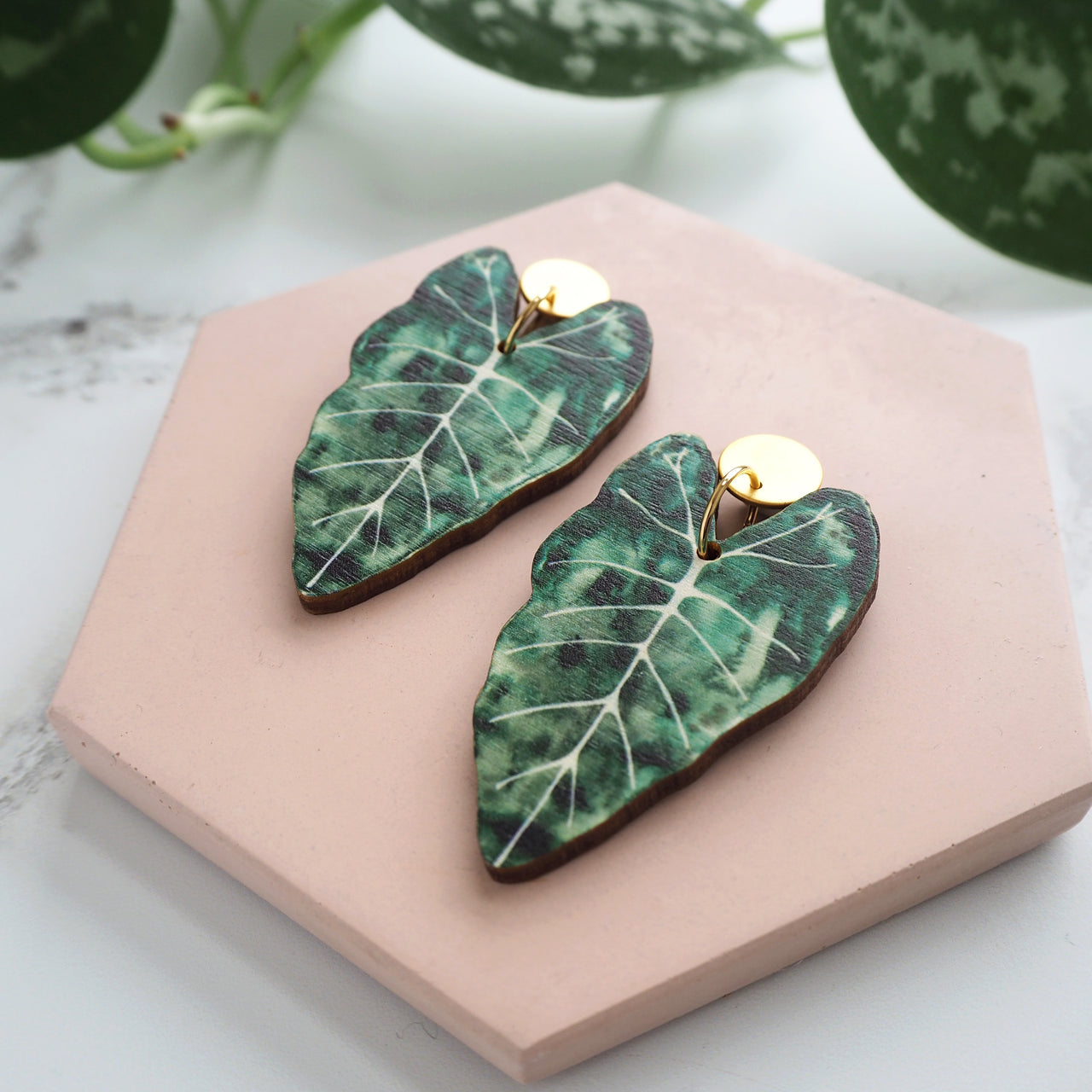 Alocasia Plant Drop Earrings