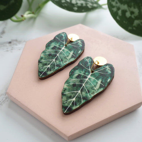 Alocasia Plant Drop Earrings