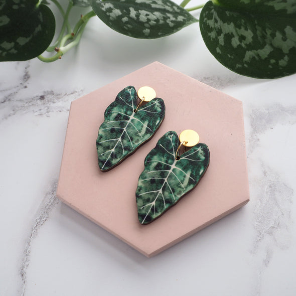 Alocasia Plant Drop Earrings