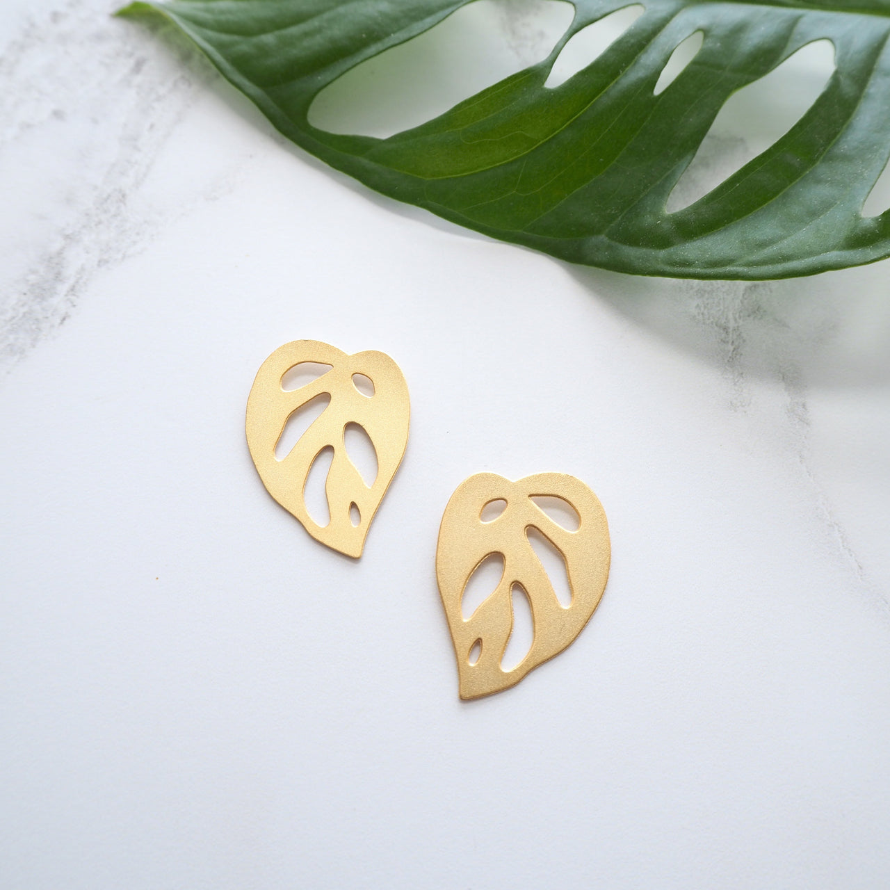 Gold Monstera Stud Earrings - Monstera Obliqua Earrings