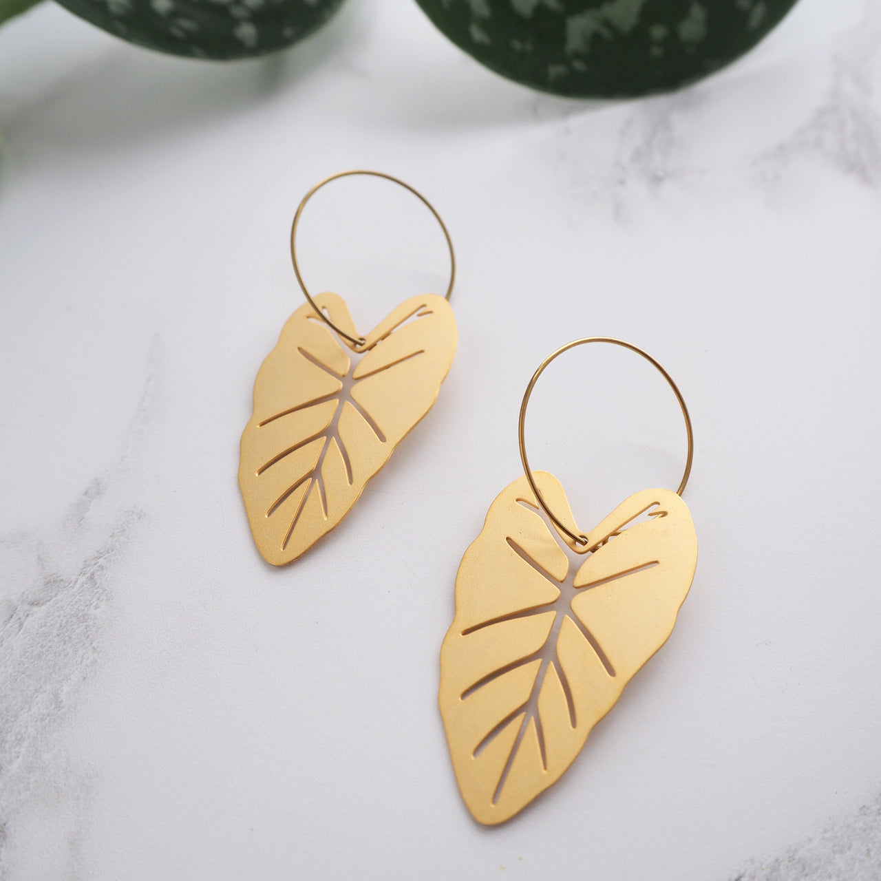 Gold Alocasia Hoop Earrings