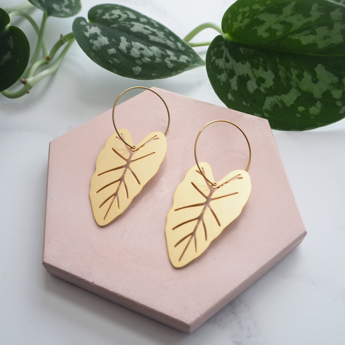 Gold Alocasia Hoop Earrings