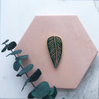 Tropical Leaf Enamel Pin - Calathea Ornata