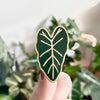 Alocasia Enamel Pin - House Plant Pin