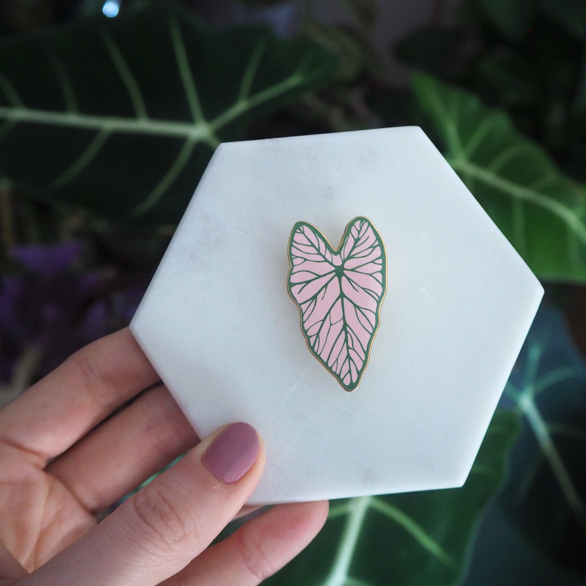 Caladium Leaf Pin - Pink Plant Pin