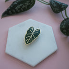 Alocasia Enamel Pin - House Plant Pin