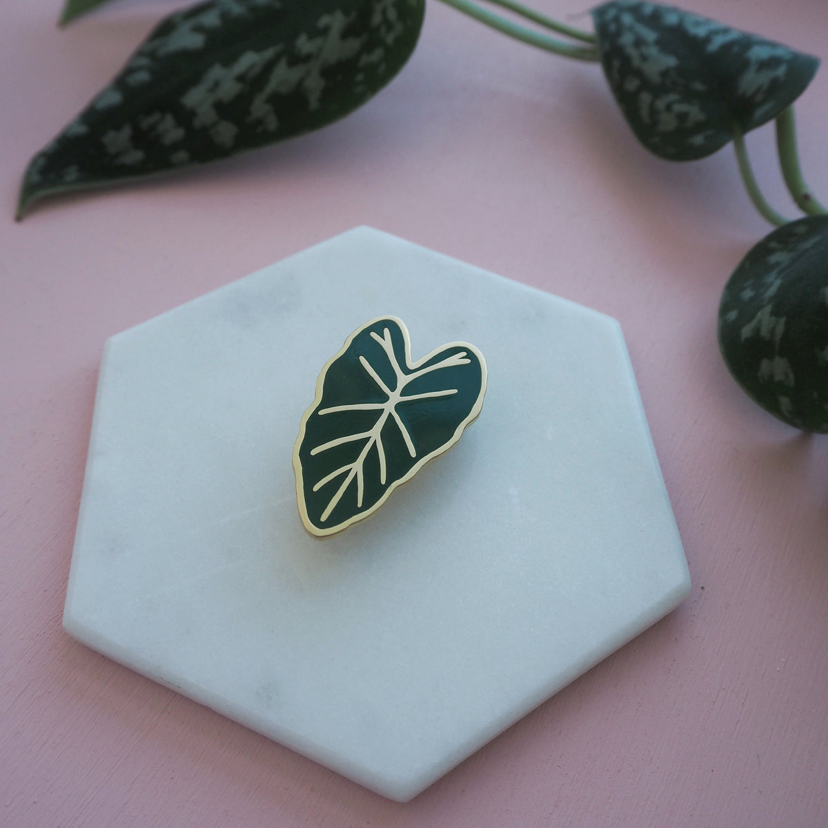 Alocasia Enamel Pin - House Plant Pin