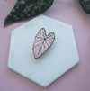 Caladium Leaf Pin - Pink Plant Pin