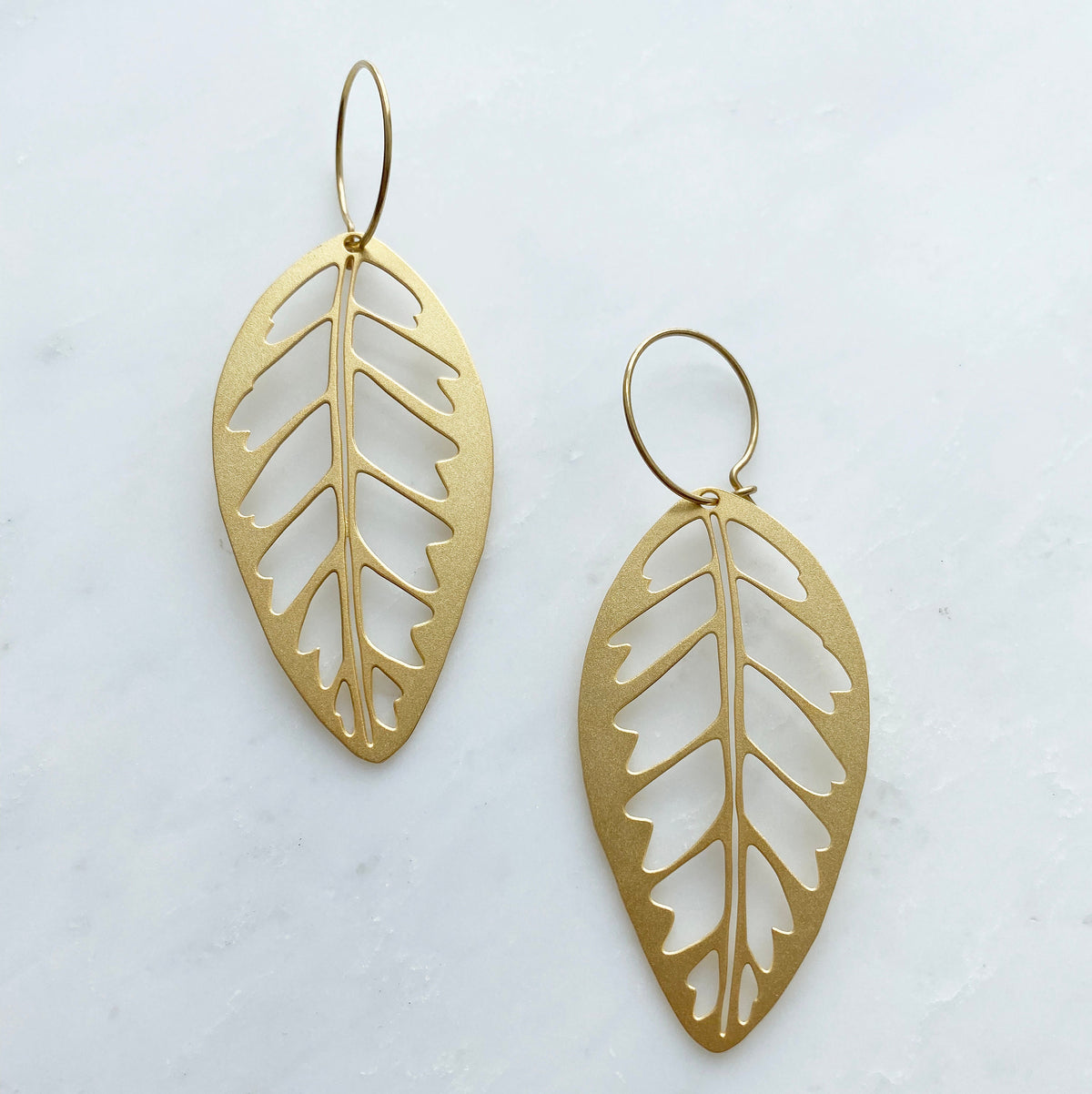 Tropical Gold Leaf Hoop Earrings - Calathea Zebrina